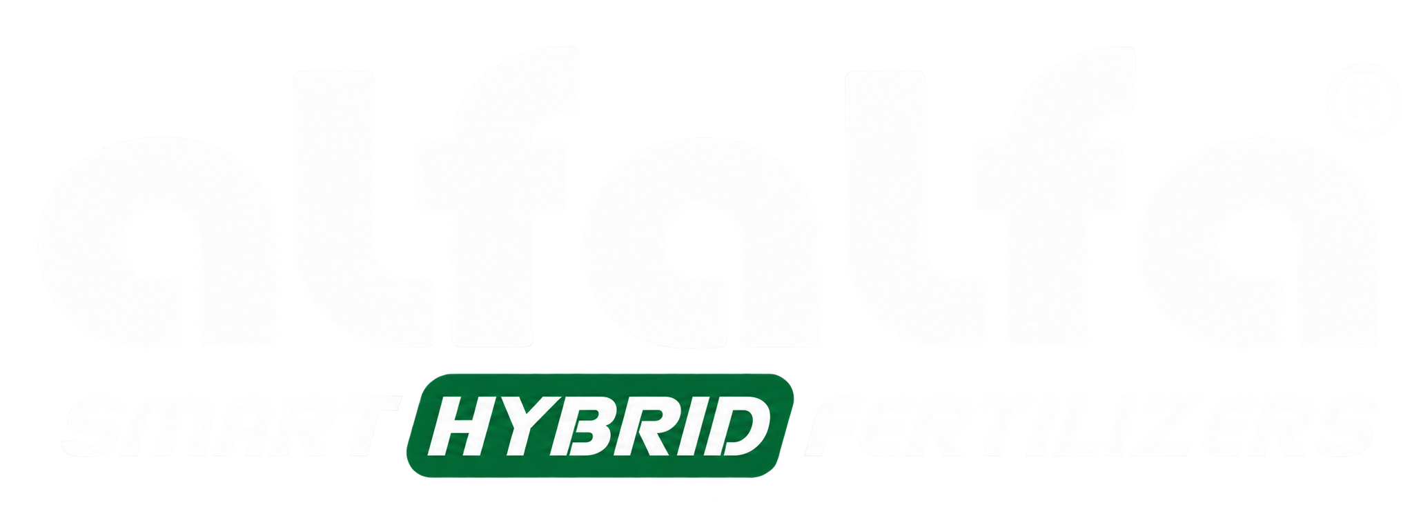 e6b02633-60e5-4c02-84f4-c9705e2de37a